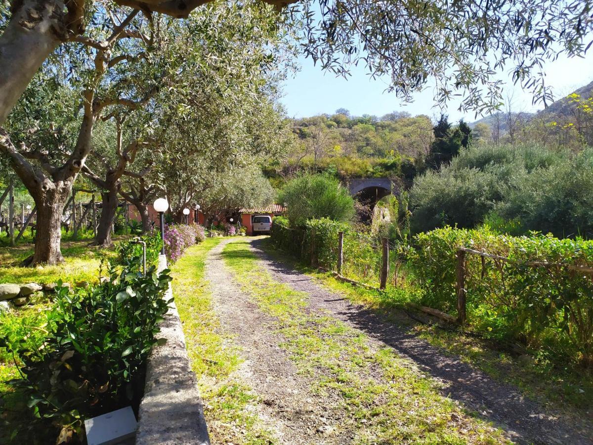 Il Vigneto "Cottage" Gaggi Dış mekan fotoğraf