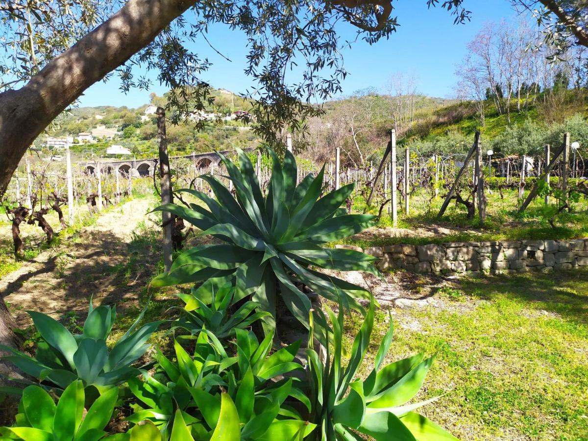 Il Vigneto "Cottage" Gaggi Dış mekan fotoğraf